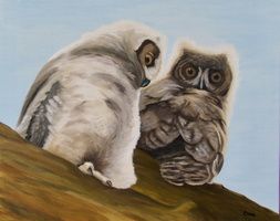 Who Me? - 16"x20" oil on canvas